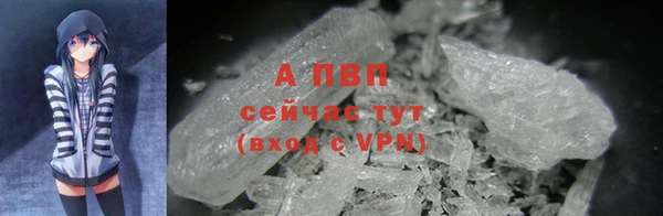 дживик Арсеньев