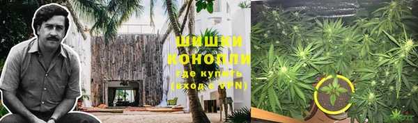 дживик Арсеньев